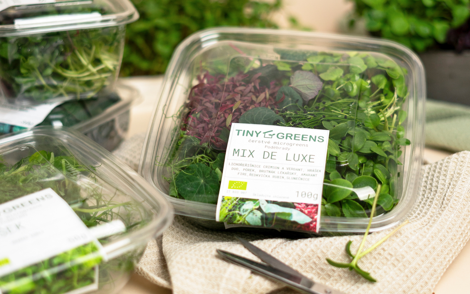 Čerstvé microgreens (1)